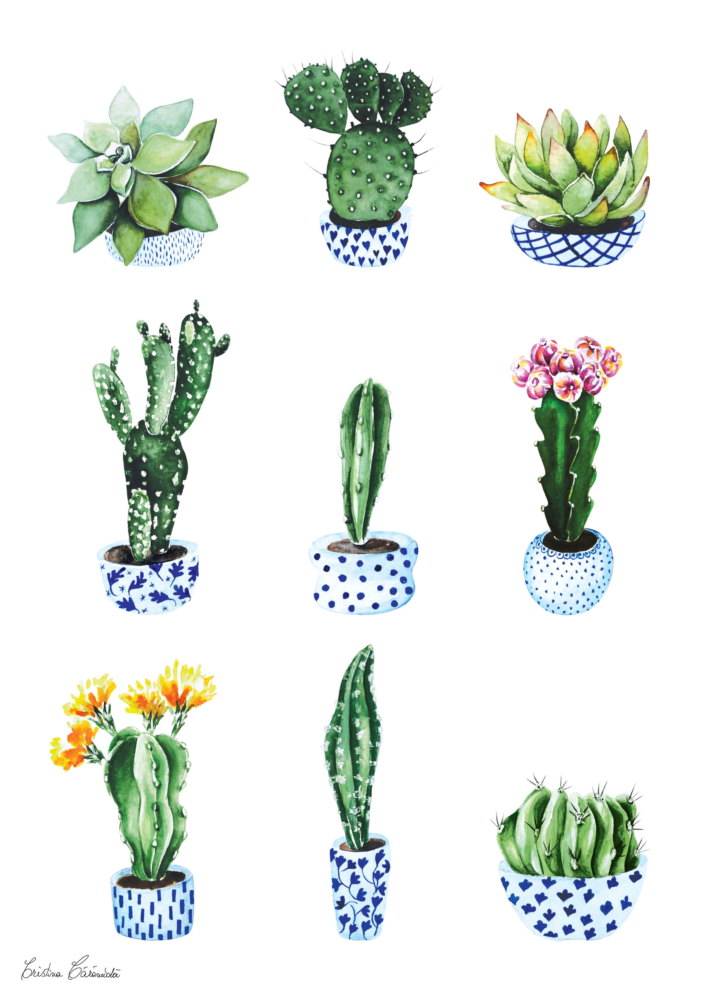 2362x3307 Cactus - Watercolor Succulent Wallpaper