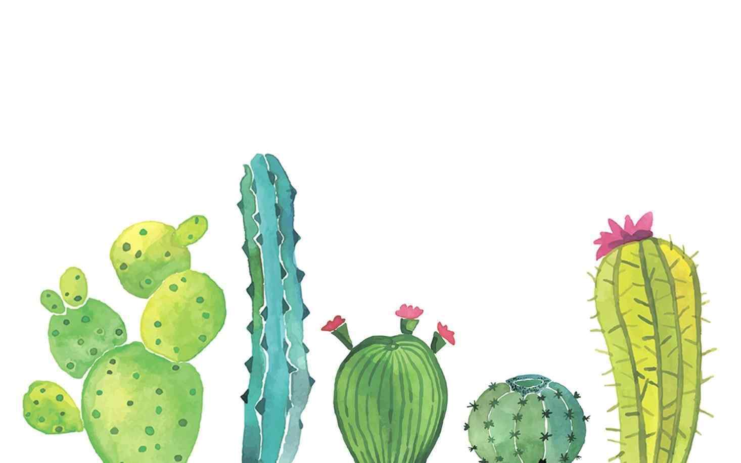 1466x917 Cactus And Succulents Wallpaper 2018 - Watercolor Succulent Wallpaper