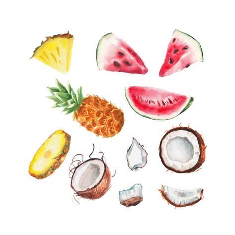 473x473 Watercolor Summer Fruits Set Prints By Lenavetka87 - Watercolor Summer