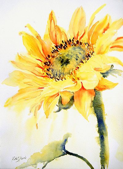401x550 Ruth S Harris Watercolor Beautiful Art Flowers - Watercolor Sunflower Step By Step