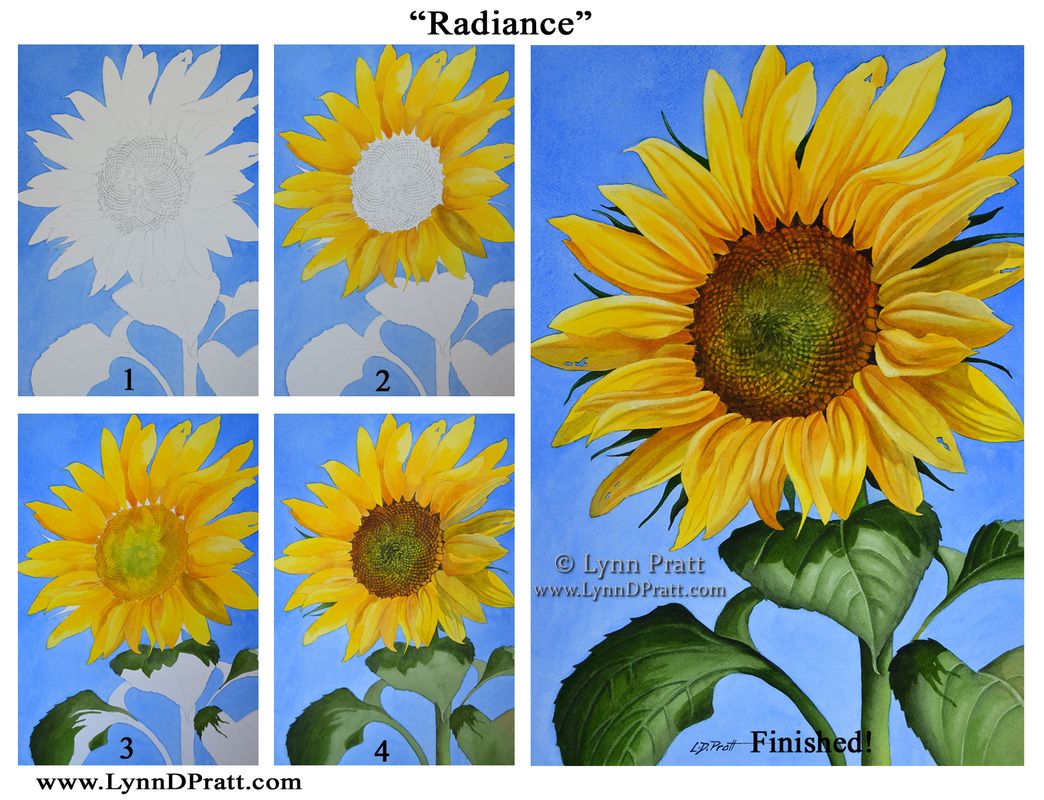 1044x800 Step By Step, How To Art, Watercolor Painting By Lynn D. Pratt - Watercolor Sunflower Step By Step