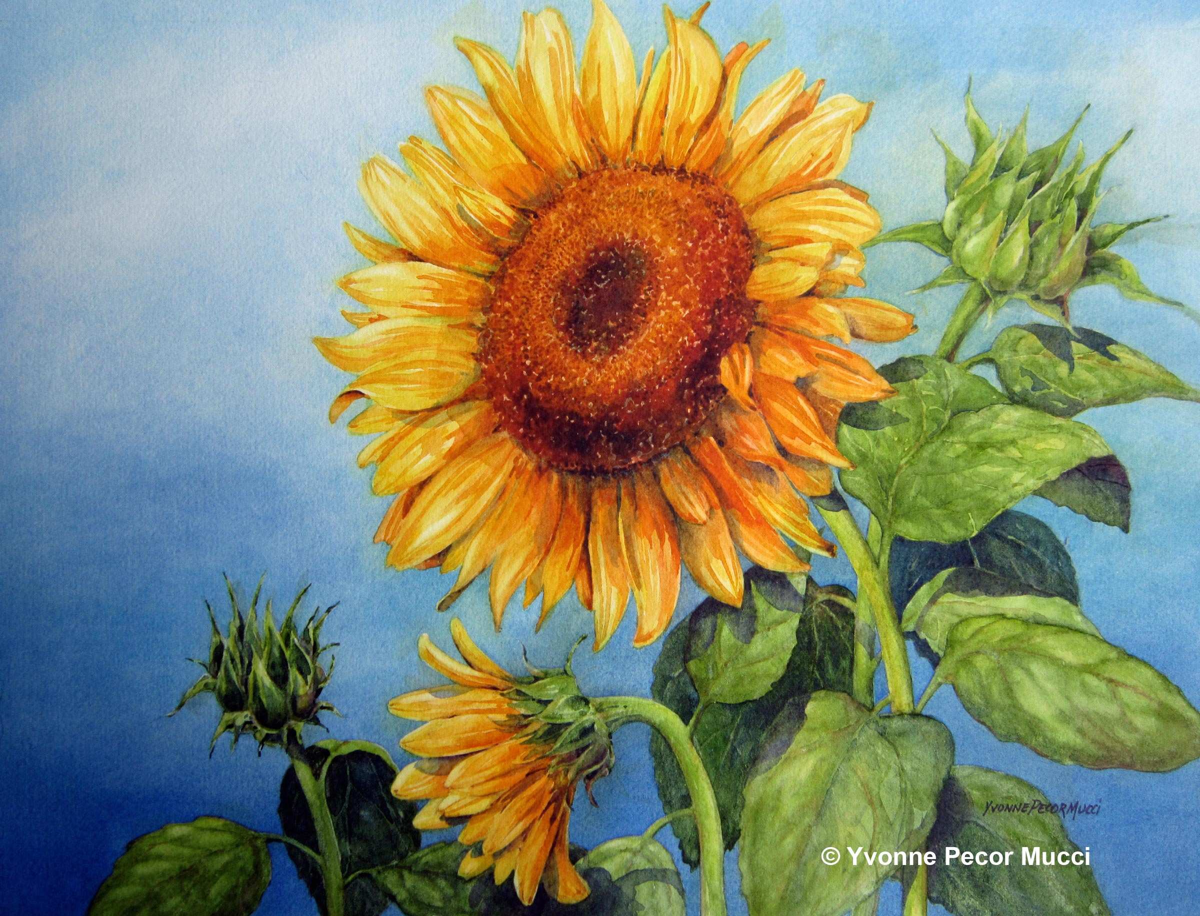 2400x1833 Sunflower Painting Elegant Sunflowers Watercolor Painting Ideas - Watercolor Sunflower Step By Step