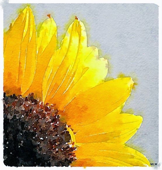 555x580 Sweet Leaf Notebook Watercolor Sunflowers Watercolors - Watercolor Sunflower Step By Step