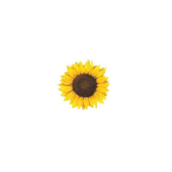 600x600 Watercolor Sunflower Tattoo Liked On Polyvore Featuring - Watercolor Sunflower Tattoo