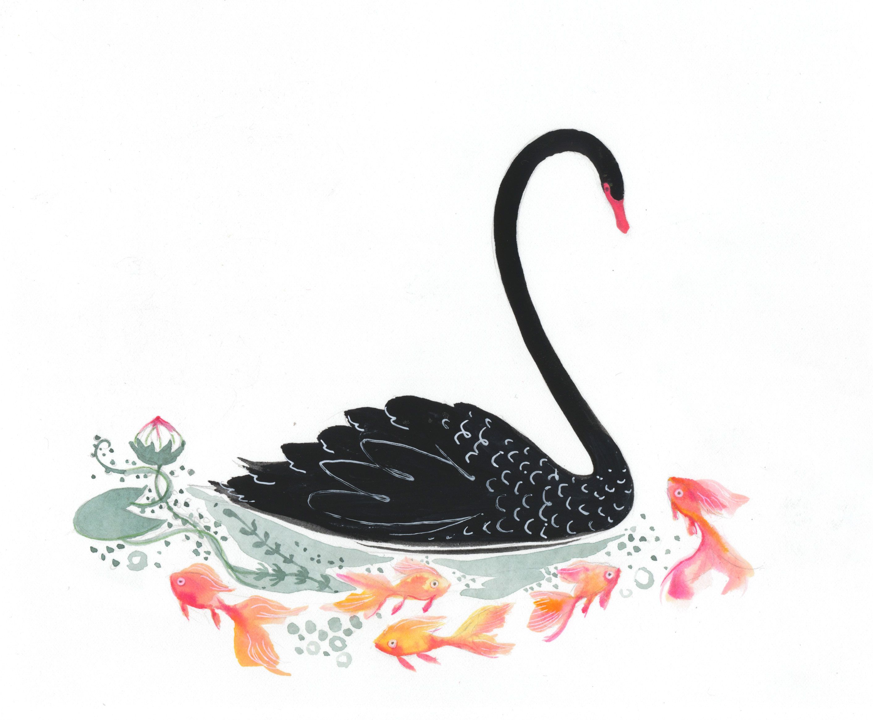 2826x2330 Black Swan With Goldfish Watercolor And Gouache - Watercolor Swan Tattoo