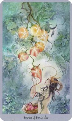 236x395 98 Best Shadowscapes Tarot Deck Images Tarot Decks - Watercolor Tarot Cards