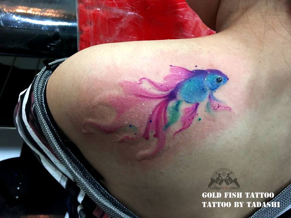 960x719 Watercolor Gold Fish 6 - Watercolor Tattoo Fish