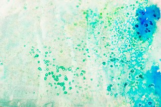 320x213 Salt Resist Painting - Watercolor Techniques Salt