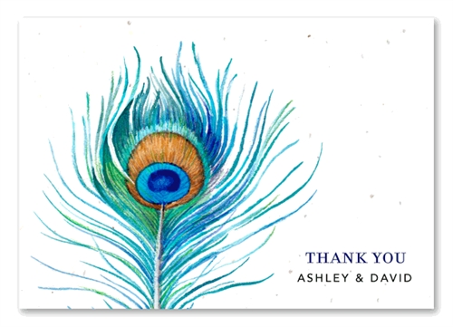 500x361 Watercolor Thank You Cards On Seeded Paper ~ Delicate Peacock By - Watercolor Thank You Cards