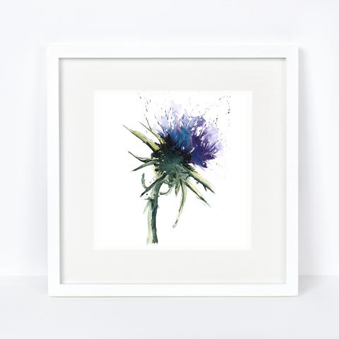 480x480 Thistle Watercolour Meg Hawkins Art - Watercolor Thistle