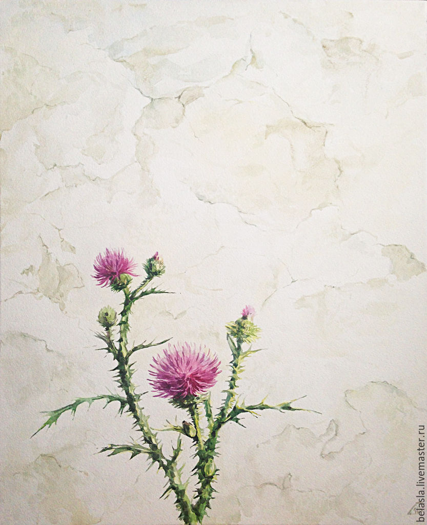 833x1024 Thistle, Watercolor Shop Online On Livemaster With Shipping - Watercolor Thistle