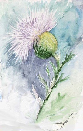 274x432 Thistle Watercolor Sketch Fine Art Print By Sher Sester - Watercolor Thistle