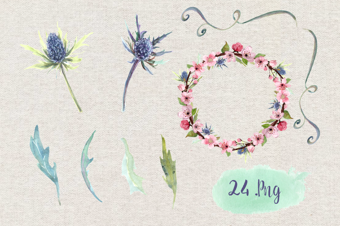 1160x772 Watercolor Thistle And Cherry Clip Art Set By Tatibordiu - Watercolor Thistle