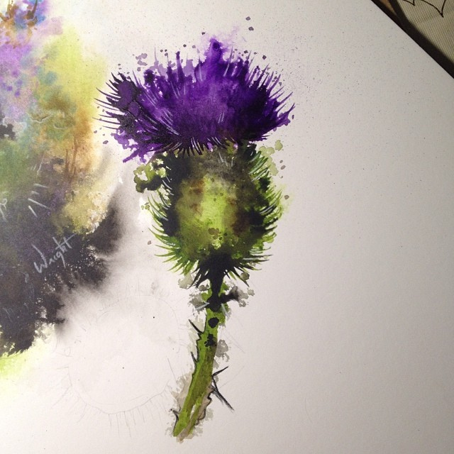 640x640 Watercolor Thistle Tattoo Art Part 2 (Kill - Watercolor Thistle