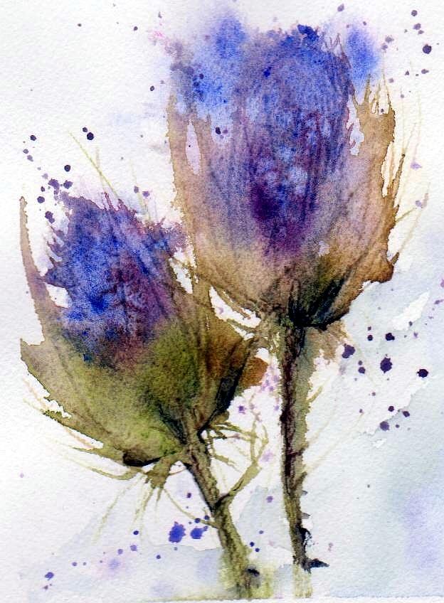 624x848 Blue Thistle Painting By Anne Duke - Watercolor Thistle