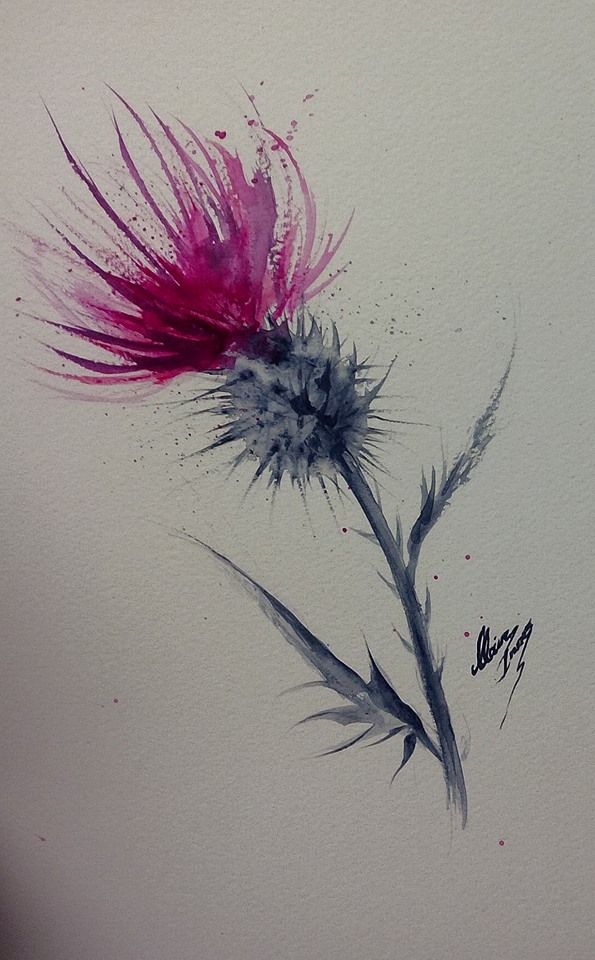 595x960 Clare Innes Thistle Watercolour 12 X 7 (Sold And On Its Way To - Watercolor Thistle