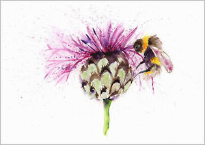 300x212 Helen April Rose Limited Print Of Bee And Thistle Insect Art - Watercolor Thistle