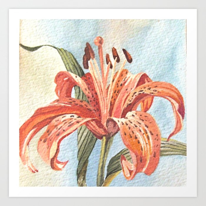 700x700 Orange Tiger Lily Watercolor Painting Art Print By Betweentheweeds - Watercolor Tiger Lily