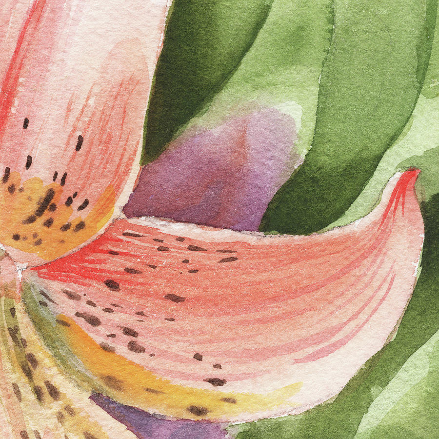 900x900 Watercolor Tiger Lily Dance Of Petals Close Up Painting By Irina - Watercolor Tiger Lily