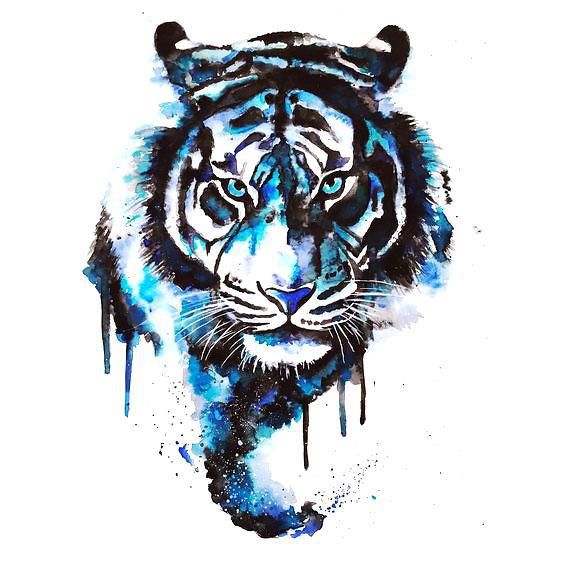 564x564 Blue Watercolor Tiger Tattoo Design Drawingtattooart - Watercolor Tiger Tattoo