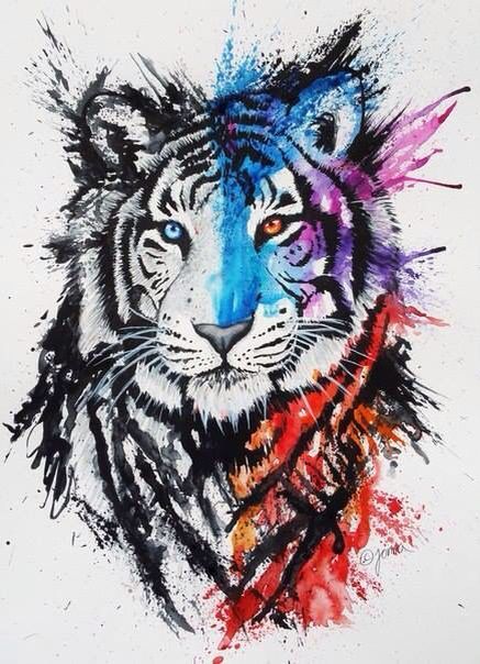 437x604 Pin By Abc123 On Places To Visit Tattoo, Drawing - Watercolor Tiger Tattoo