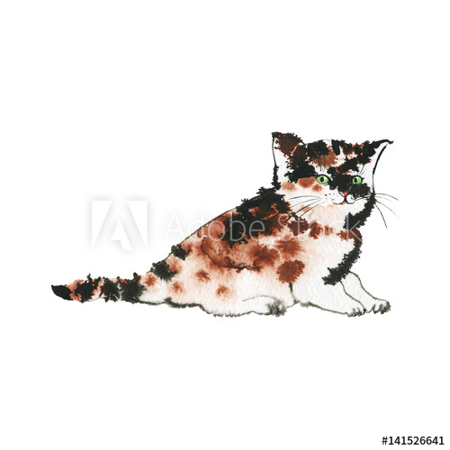 500x500 Hand Drawn British Tabby Kitten. Watercolor Tortoise Shell Cute - Watercolor Tortoise