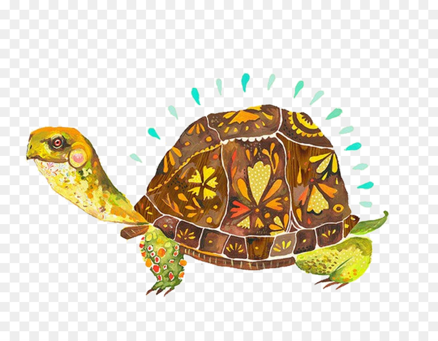 900x700 Paper Painting Illustrator Artist - Watercolor Tortoise