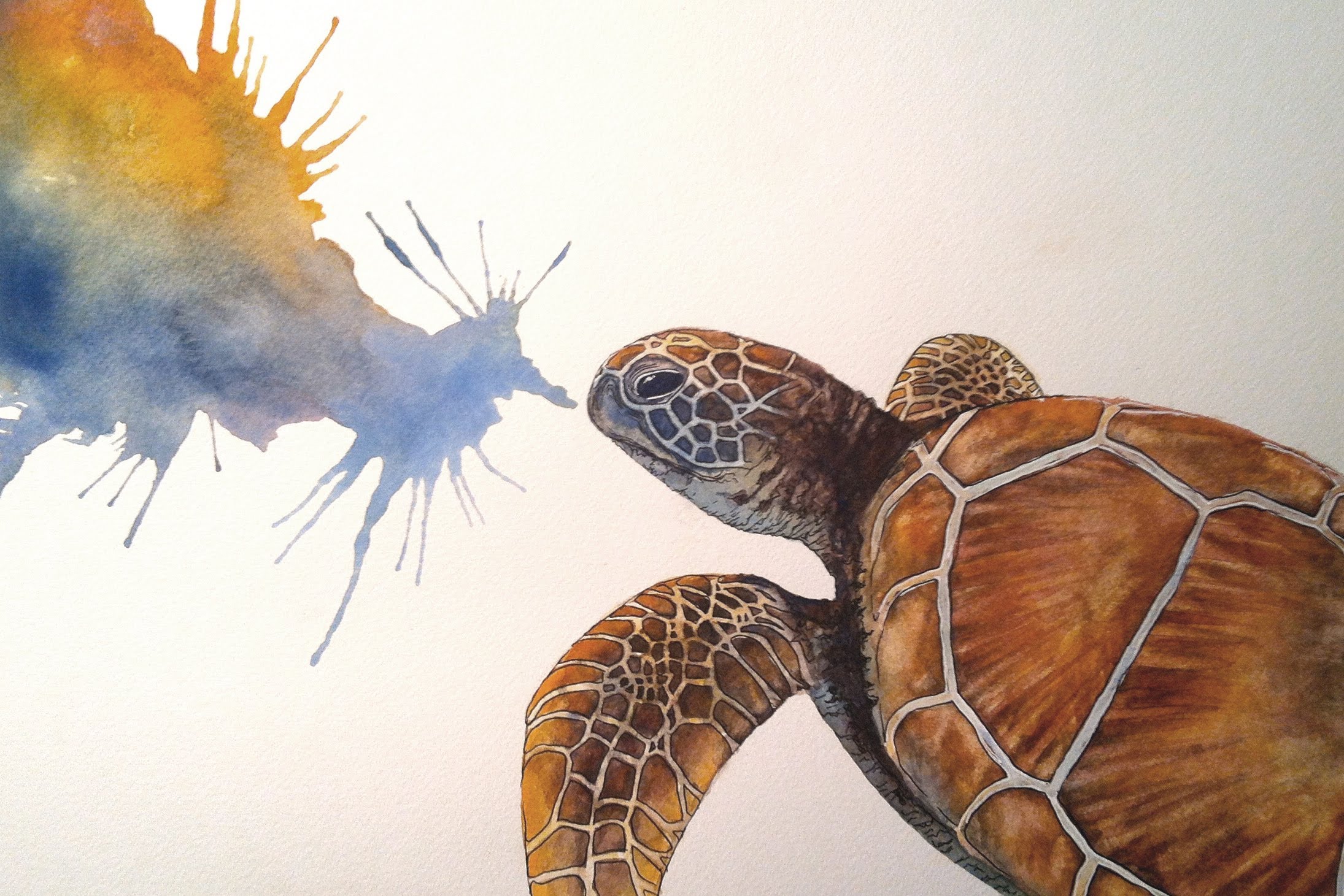 2190x1461 Speed Painting Watercolour - Watercolor Tortoise