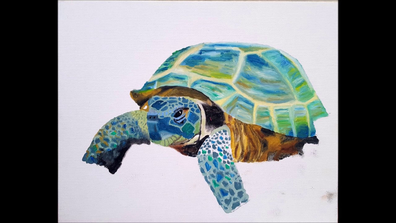 1280x720 Tortoise Painting Step By Step - Watercolor Tortoise