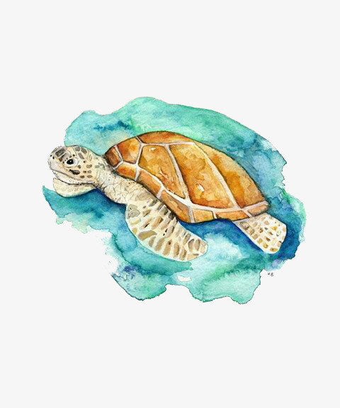 480x576 Watercolor Cute Tortoise, Watercolor Clipart, Cute Clipart - Watercolor Tortoise