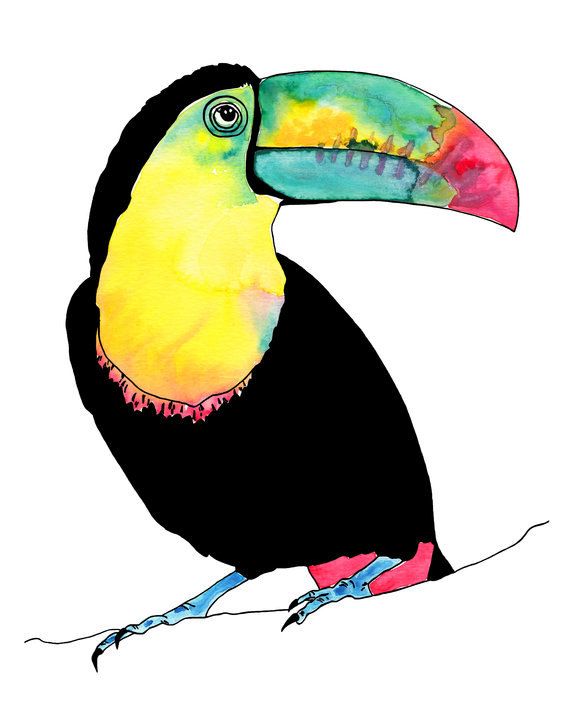 570x713 Toucan Watercolour Tropical Art Print Blue Green Bird Yellow Bird - Watercolor Toucan