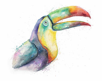 340x270 Toucan Watercolor Etsy - Watercolor Toucan