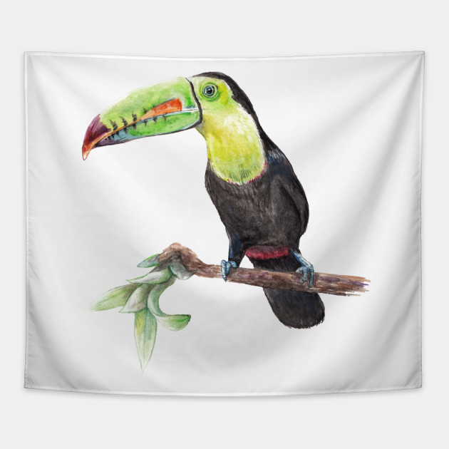 630x630 Watercolor Toucan Bird - Watercolor Toucan
