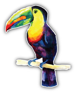 246x300 Watercolor Toucan Car Bumper Sticker Decal 4' X 5' Ebay - Watercolor Toucan