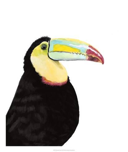 413x488 Watercolor Toucan Giclee Print By Naomi Mccavitt - Watercolor Toucan