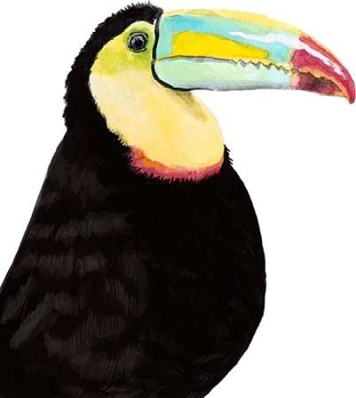 402x450 Watercolor Toucan By Artist Mccavitt, Naomi Decorative Print - Watercolor Toucan