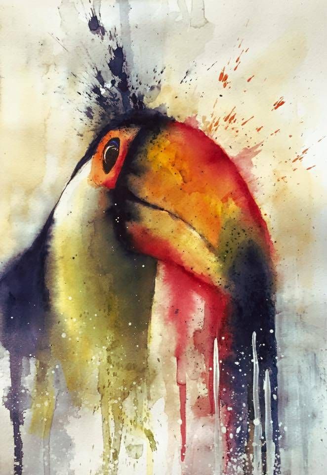 662x960 Watercolor Toucan, Bird, Colors, Painting, Watercolours, Splash - Watercolor Toucan