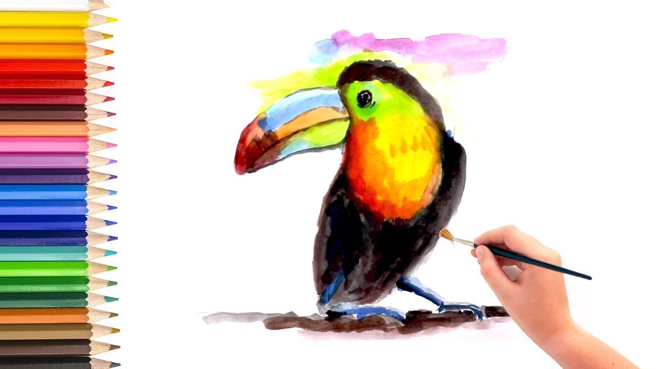 1280x720 Learn How To Draw Toucan Bird Using Watercolor, Video For Kids To - Watercolor Toucan