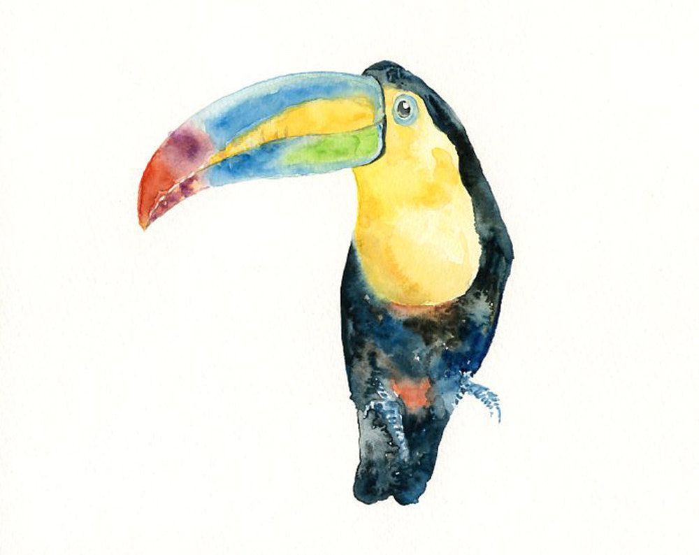 1000x794 Toucan By Dimdi Original Watercolor Painting 10x8inch Rainforest - Watercolor Toucan