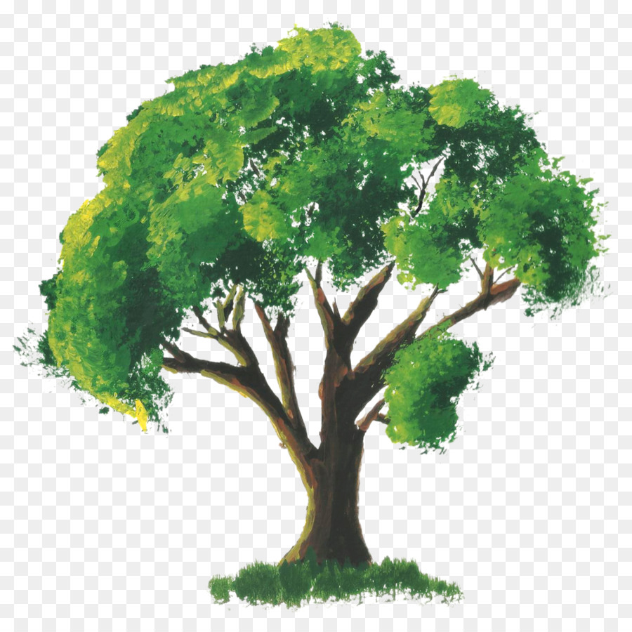 900x900 Tree Watercolor Painting Room - Watercolor Tree