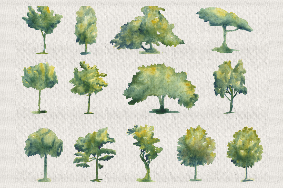 1160x772 Collection Of 44 Watercolor Trees By Anna Ivanir - Watercolor Tree