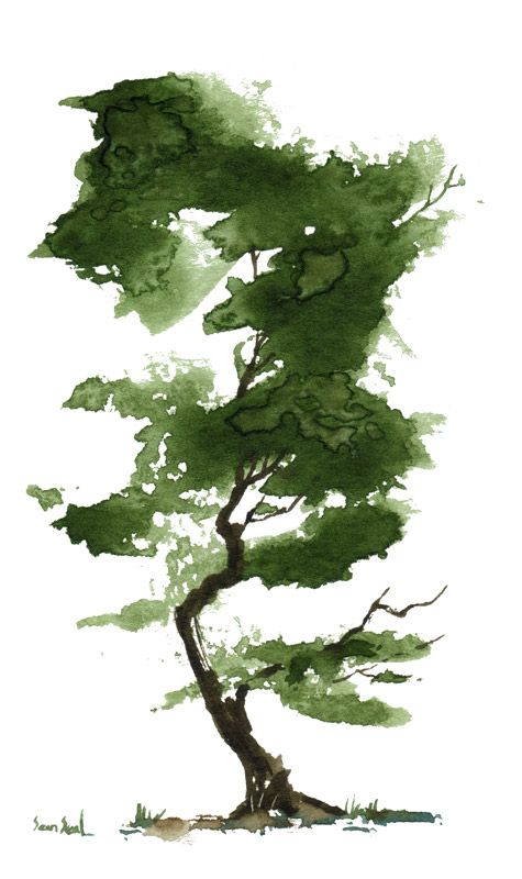 475x800 Deep Green, But With More Gray - Watercolor Tree