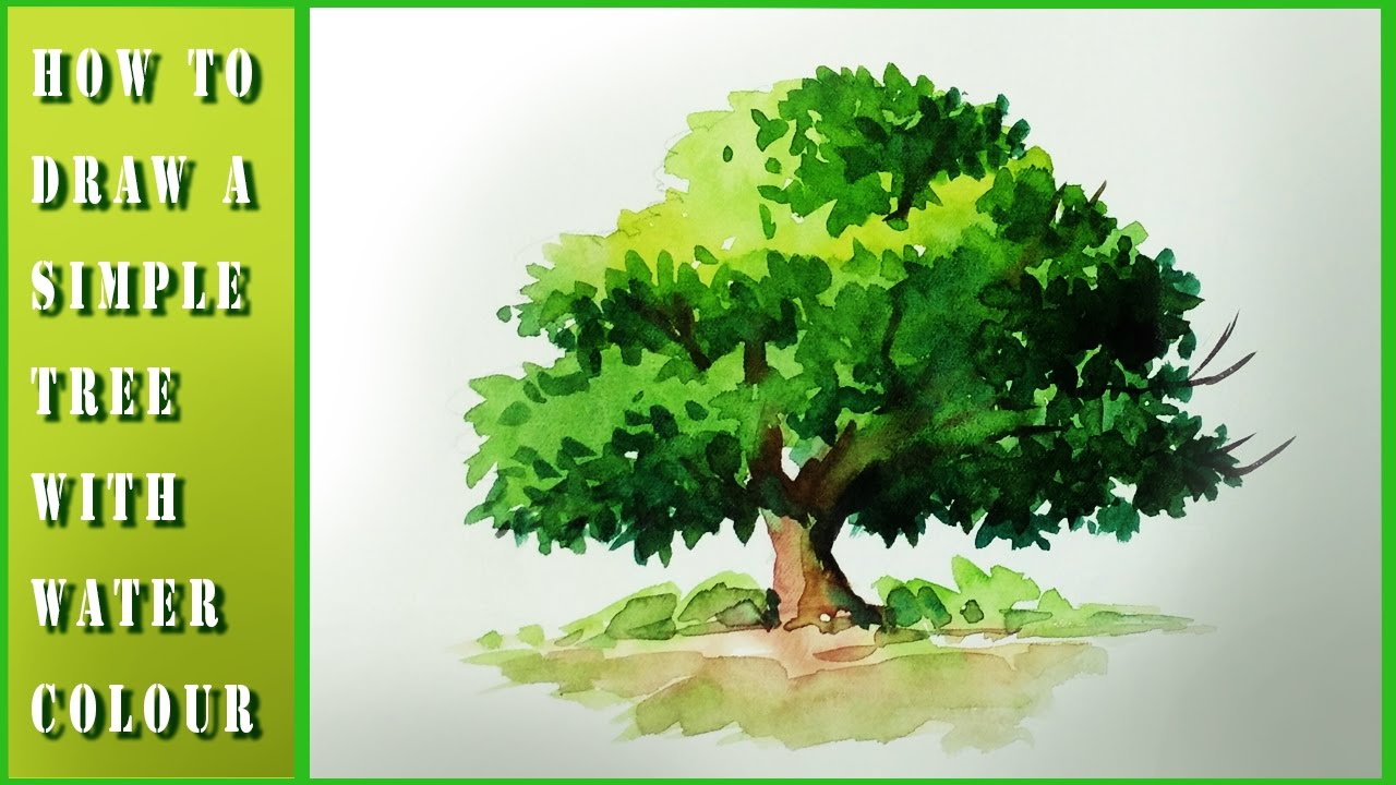 1280x720 How To Draw Tree With Watercolor - Watercolor Tree
