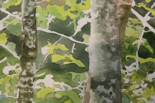 600x400 Painting Trees And Leaves Watercolor Demonstration - Watercolor Tree Bark