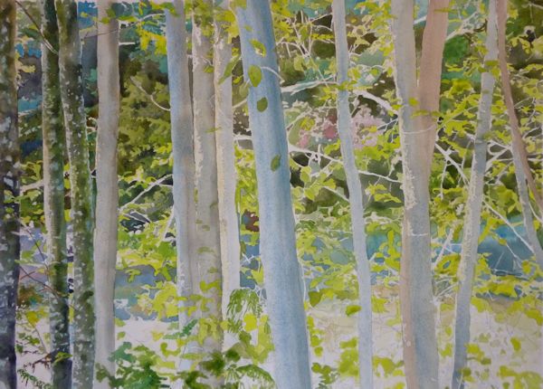 600x430 Painting Trees And Leaves With Watercolor On Either Side Of The - Watercolor Tree Bark