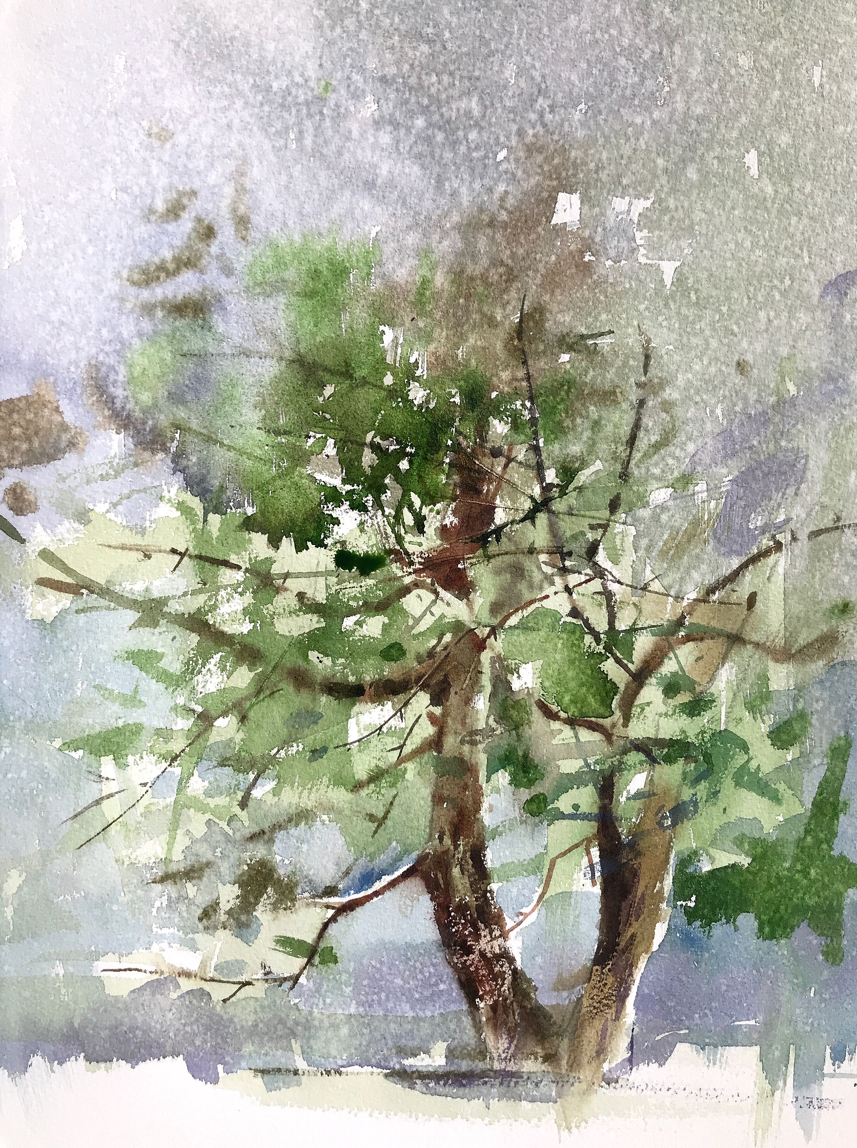 2725x3650 Pin By Chang Hong Bin On My Watercolor Works - Watercolor Tree Bark