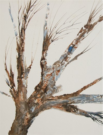 399x523 Shanti Marie - Watercolor Tree Bark