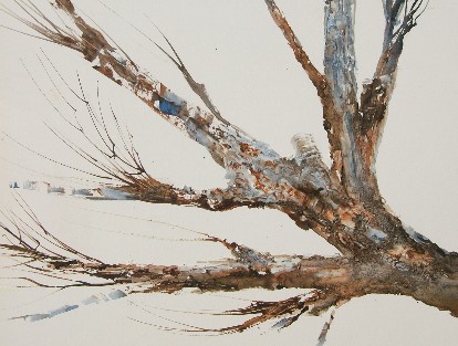 414x313 Spirit Tree A Painting A Day - Watercolor Tree Bark