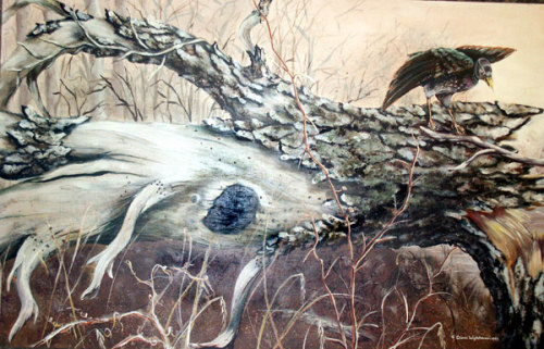 500x321 Tree Bark [Archive] - Watercolor Tree Bark