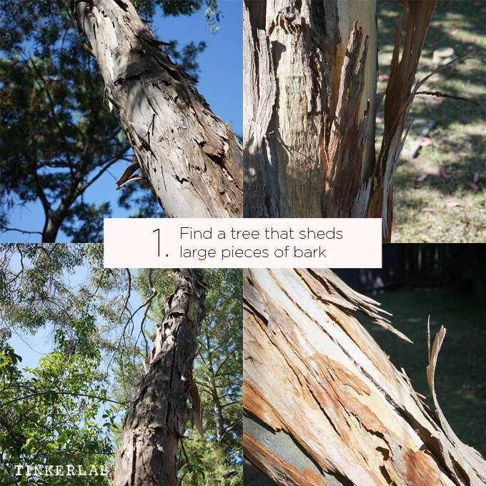 680x680 Bark Painting Craft With Watercolor Paint Tinkerlab - Watercolor Tree Bark